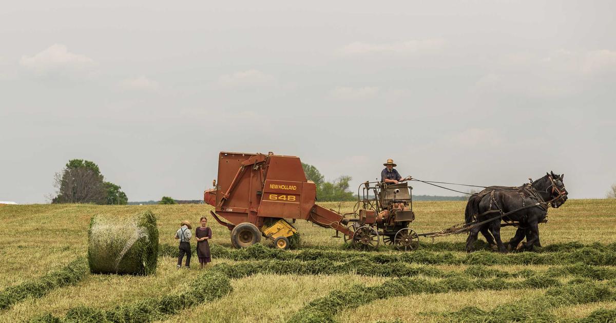Meta 發布 Llama 4：最強開源模型，70B 參數挑戰閉源巨頭
