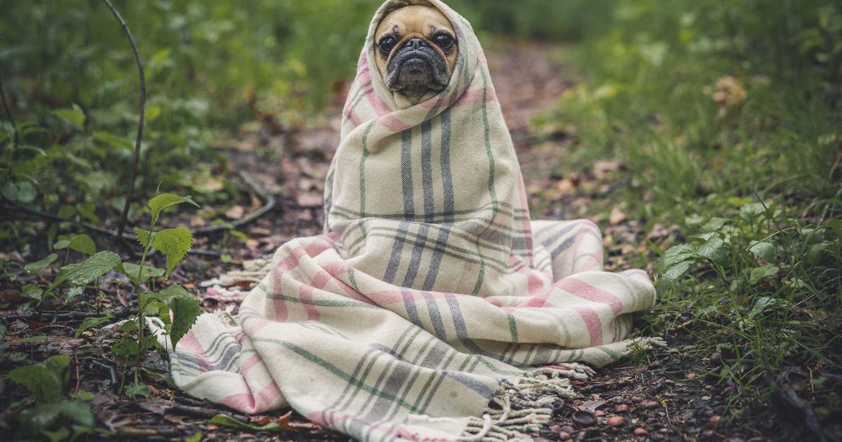 AI 新藥開發重大突破：從靶點發現到臨床候選僅需 6 個月