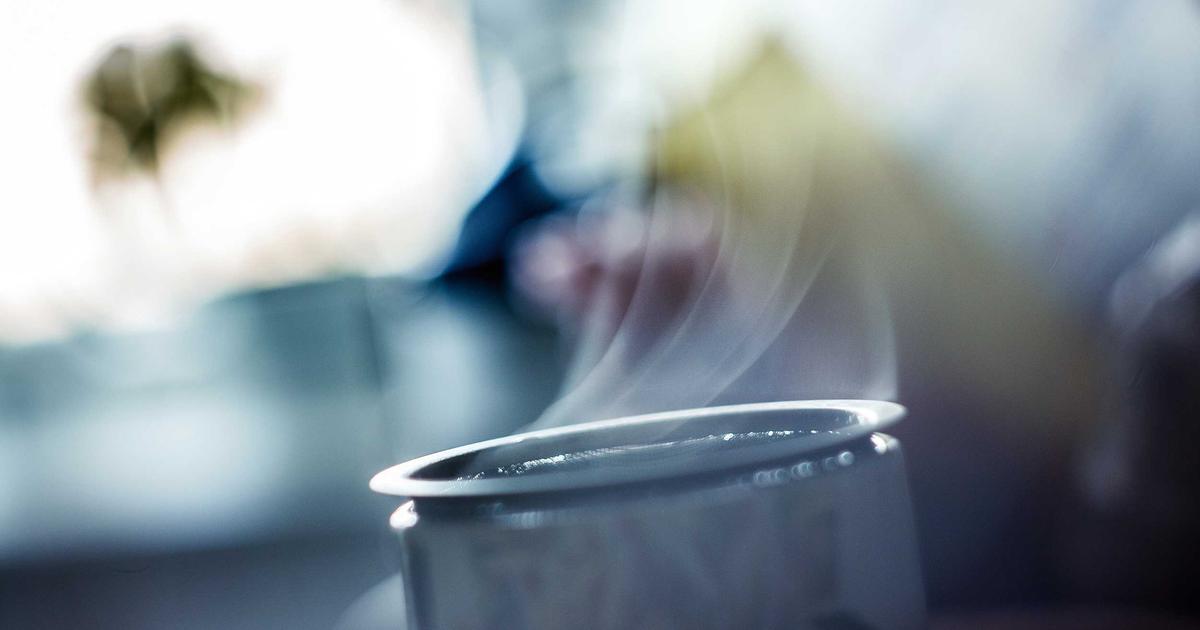 AI Agent 生態系統：從單一模型到自主協作的未來